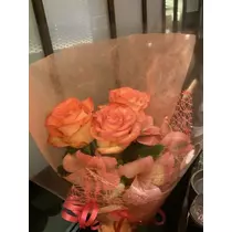 白石 愛莉