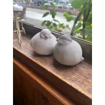 にこ