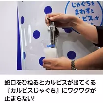 紫音