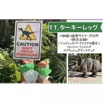 秋葉 夢羅