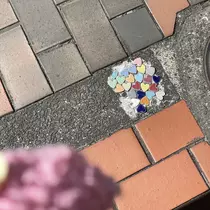 ちゃお