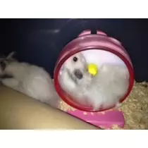 ゆま(20)