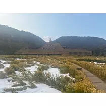 みやび