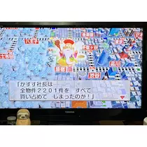 七星 夏純