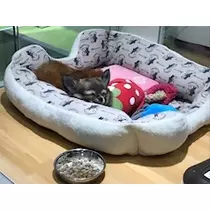 ユカ