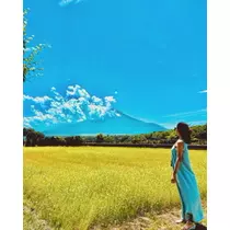 ゆかり