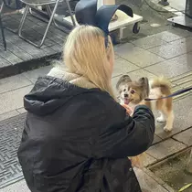 ちゃお