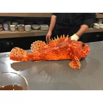 まゆか