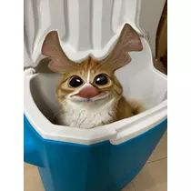 せら