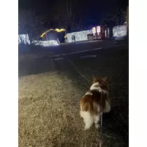 あいら