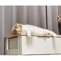 れみ