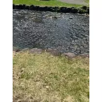 成海 まお