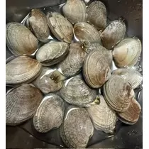 成海 まお