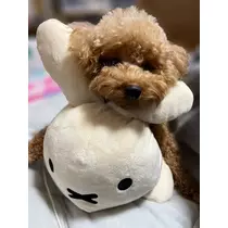 あいりちゃん