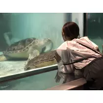もも
