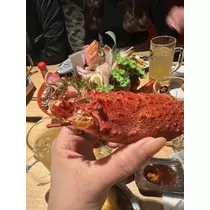 桐島 りゅう