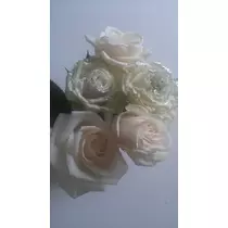 彩