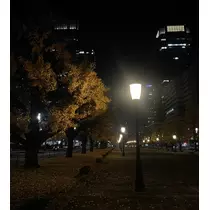 深羽