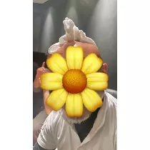 司