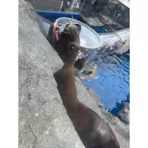 あいりちゃん
