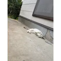 水田 まり