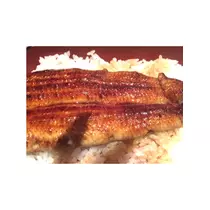 蓮見 リア