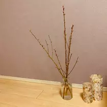 七海 結愛