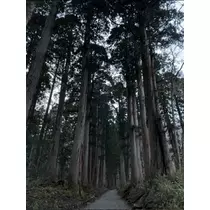 ひじり