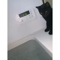 響