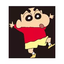 司