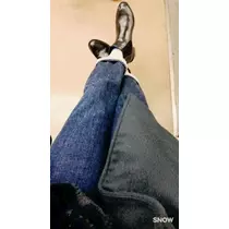 美波 なつ