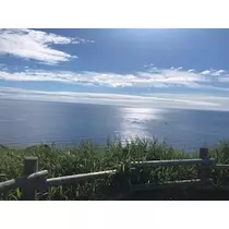 成海 まお