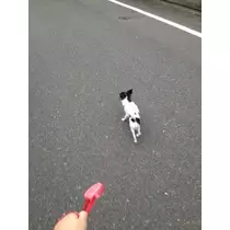 りな