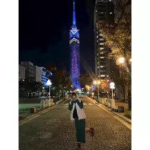 けいな