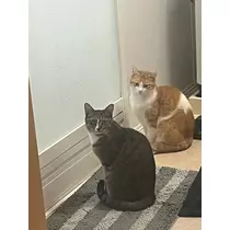 花音
