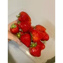 咲良 水月