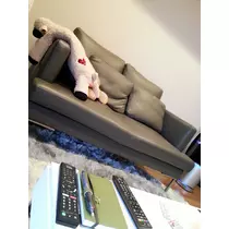 本城 椿