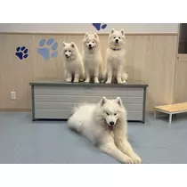 らむ