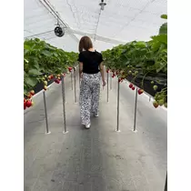 みり