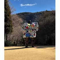 みーたん