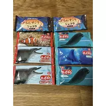 白石 愛莉