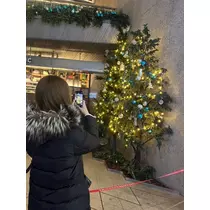 神崎 蘭