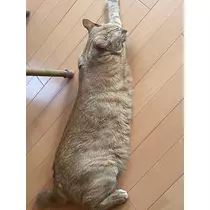 あめ