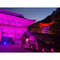 れおな