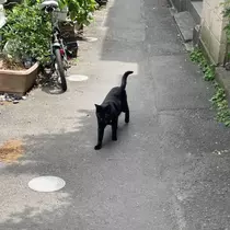 花園 ひめか