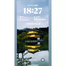 司