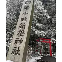 ゆきの