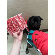 綾瀬 優