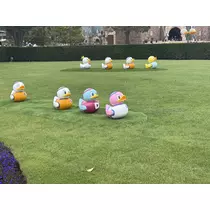 まき