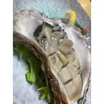 美月